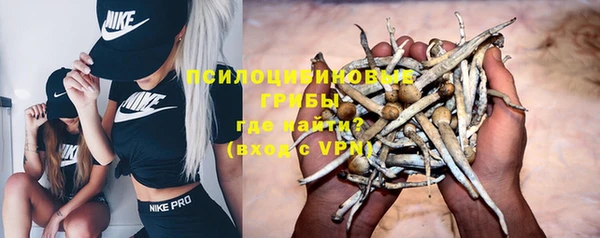 герыч Бородино