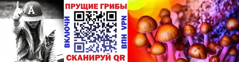 Галлюциногенные грибы Cubensis  где купить наркотик  Инсар 